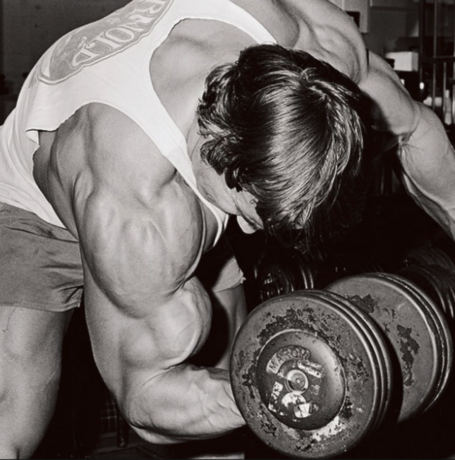 Arnold Bodybuilding Concentration Curl Shortened Biceps