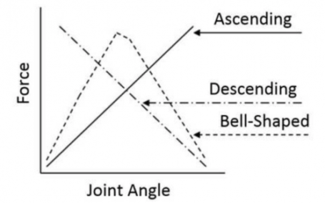 Ascending Descending Parabolic Strength Curves