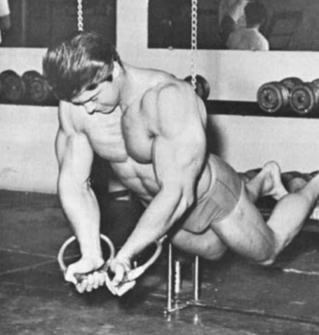 Larry Scott Suspension Ring Flyes Chest Vince Gironda