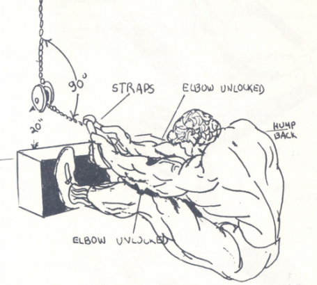 protracted rounded back close grip row vince gironda drawing